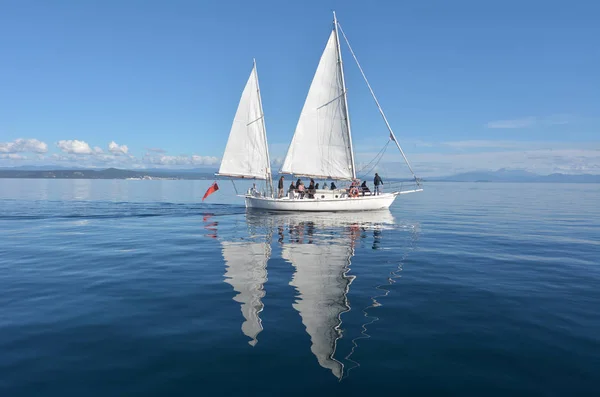 Velero navegando sobre el lago Taupo Nueva Zelanda — Foto de Stock