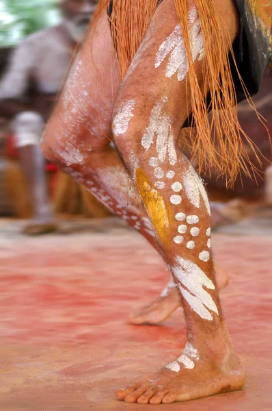 Yirrganydji El hombre aborigen baila durante el espectáculo de cultura aborigen —  Fotos de Stock