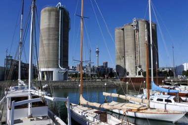 Auckland şehir manzarası Silo Park peyzaj 