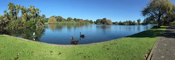 Western Springs parque em Auckland Nova Zelândia — Fotografia de Stock