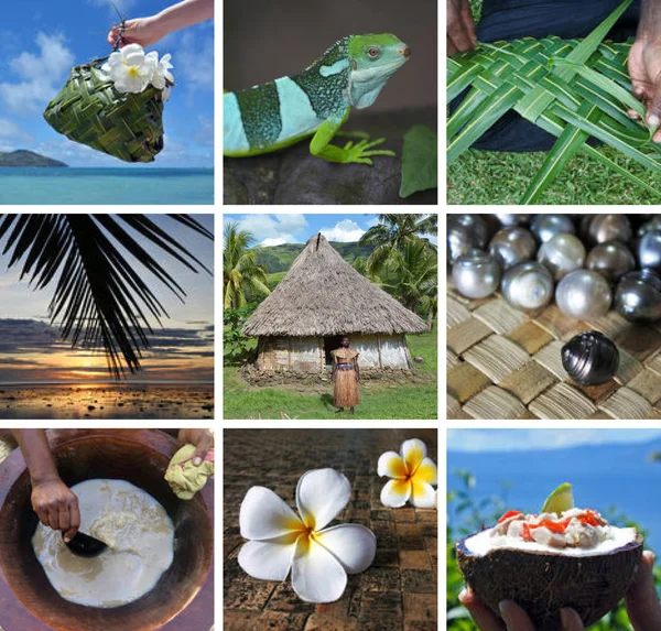 Фиджийский коллаж Travel Fiji — стоковое фото