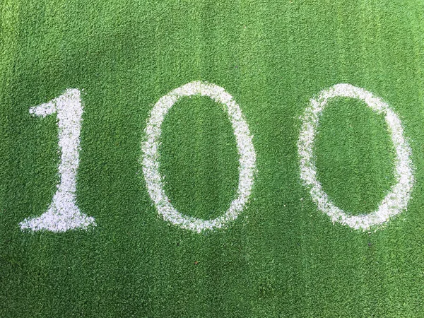 Nummer één honderd 100 op groen gras — Stockfoto