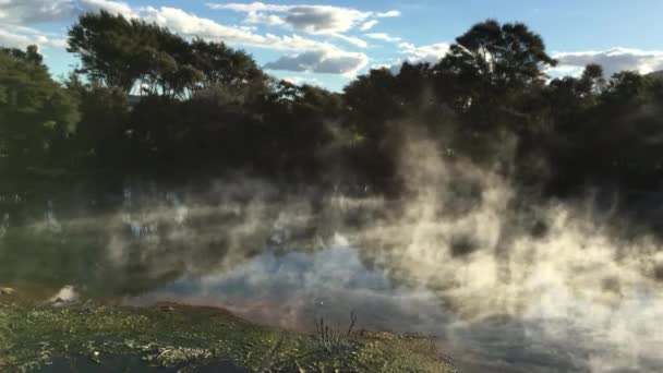 02 Piscina termale calda nel Parco Kuirau rotorua Nuova Zelanda — Video Stock