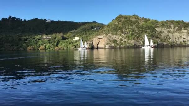 02 Maori Rock Lake Taupo Yeni Zelanda — Stok video