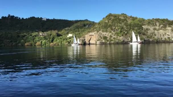 02 Maori Rock en el lago Taupo Nueva Zelanda — Vídeo de stock