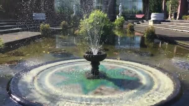 Auckland Domain Wintergardens — Stockvideo