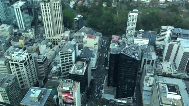 Vue aérienne de la ville d'Auckland — Video