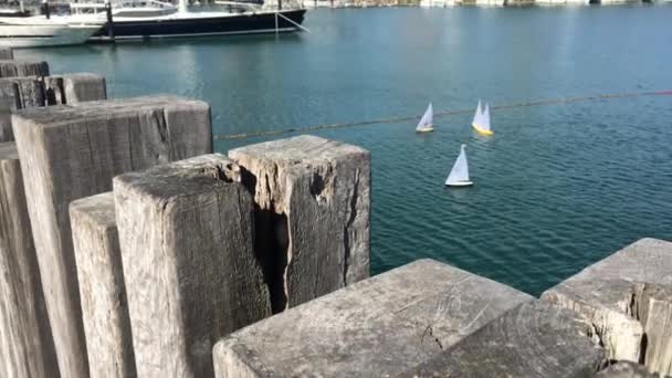 Miniatyr Båtar Segla Viaduct Harbor Mot Auckland City Skyline Auckland — Stockvideo