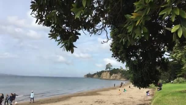 Plaża kawiarnia Auckland Nowa Zelandia — Wideo stockowe