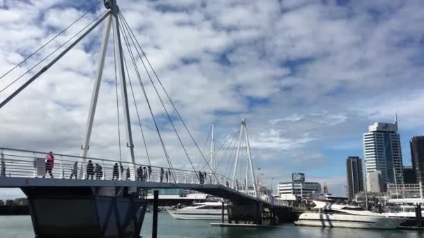 Wynyard Crossing y Auckland Skyline desde Viaduct Harbour — Vídeo de stock