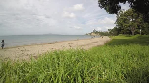 Zeitraffer Landschaft Ansicht von Brown Bay Beach Auckland Neuseeland — Stockvideo