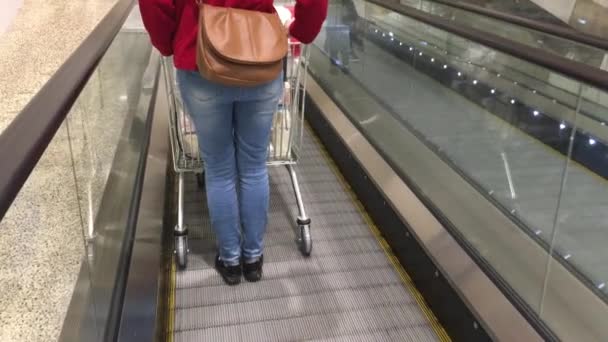 Mujer y un carrito de compras — Vídeos de Stock