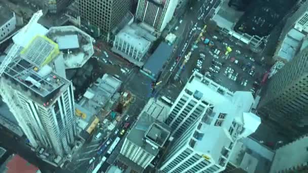 Person Sky jumps from Auckland Sky Tower — Stock Video