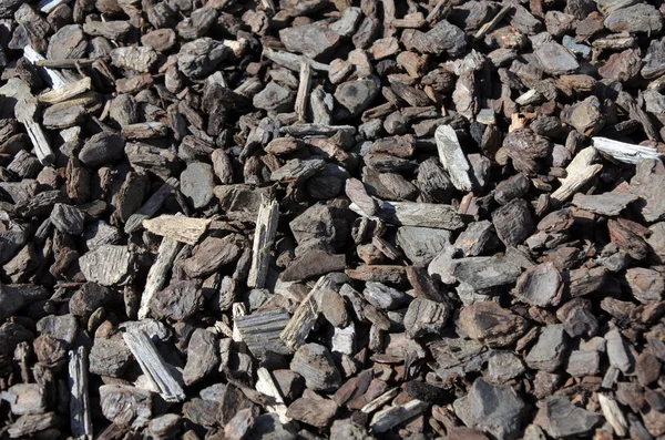 Bark-chips, dry wood chippings bark garden mulch — Stock Photo, Image