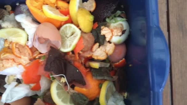 Δοχείο λιπάσματος γεμάτο τα απορρίματα τροφίμων και τα απόβλητα — Αρχείο Βίντεο
