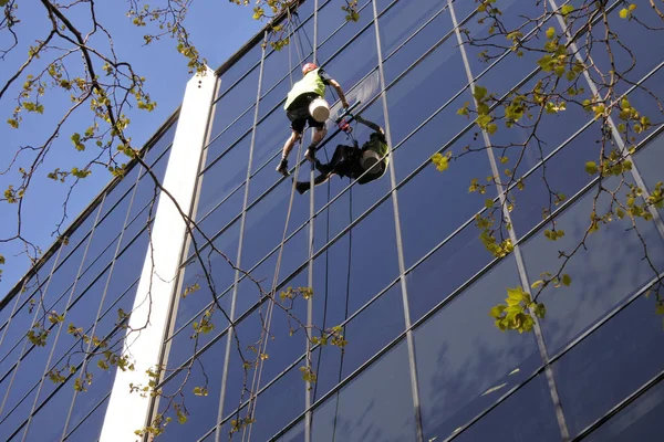 Trabalhador de limpeza de janelas de elevação alta limpa um prédio de escritórios — Fotografia de Stock