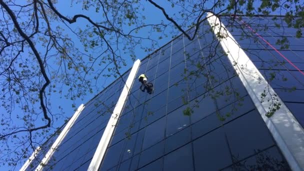 Unrecognizable high rise window cleaning worker pulisce un edificio per uffici — Video Stock