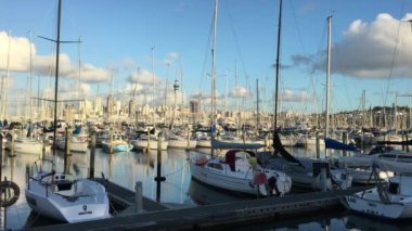 Manzaralı Westhaven Marina ve Auckland Skyline Auckland, Yeni Zelanda
