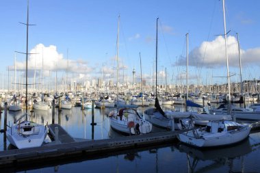 Manzaralı Westhaven Marina ve Auckland Skyline Auckland, Yeni Zelanda