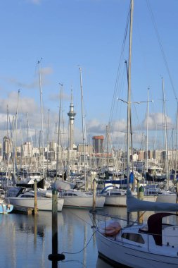 Manzaralı Westhaven Marina Auckland Yeni Zelanda