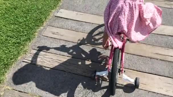 Mouvement lent d'une fille faire du vélo dans le parc — Video