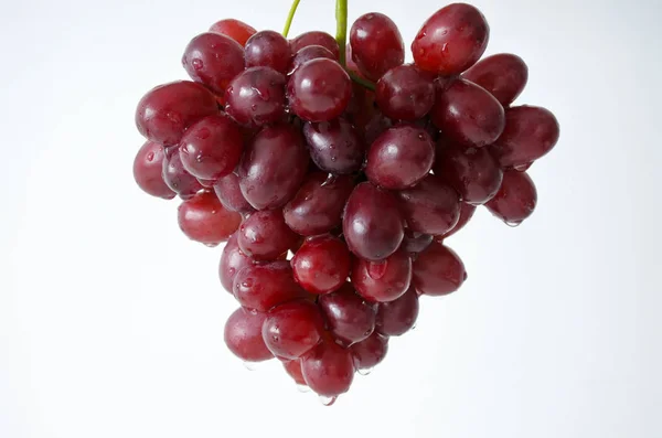 Grappolo di uva rossa su fondo bianco — Foto Stock