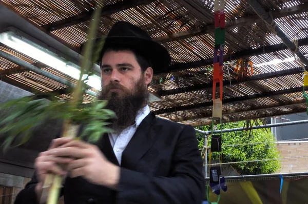 Bendición judía ortodoxa rabino sobre las cuatro especies en un Sukkah — Foto de Stock