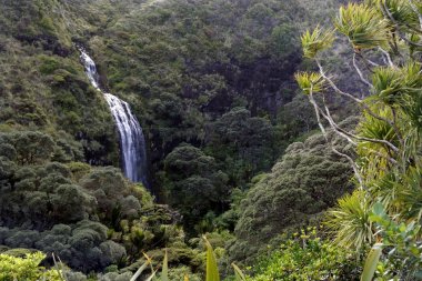 Hava manzara Karekare Falls Yeni Zelanda