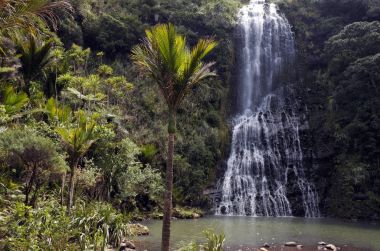 General landscape of Karekare Falls New Zealand clipart