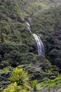 Hava manzara Karekare Falls Yeni Zelanda