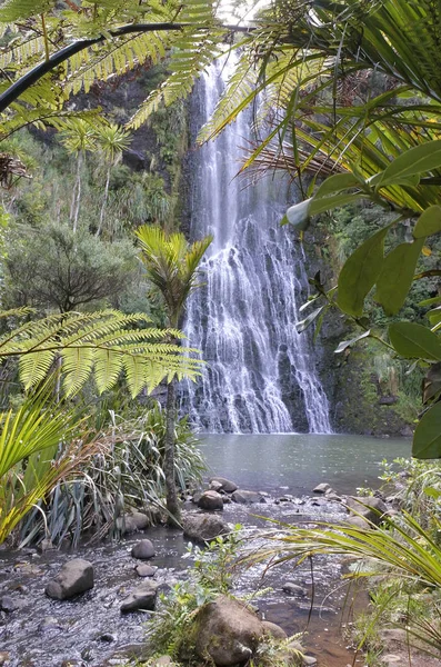 Cascate di Karekare attraverso cespuglio nativo della Nuova Zelanda — Foto Stock