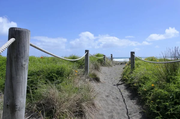 Piaszczystych wydmach ścieżka w Piha plaża Nowa Zelandia — Zdjęcie stockowe