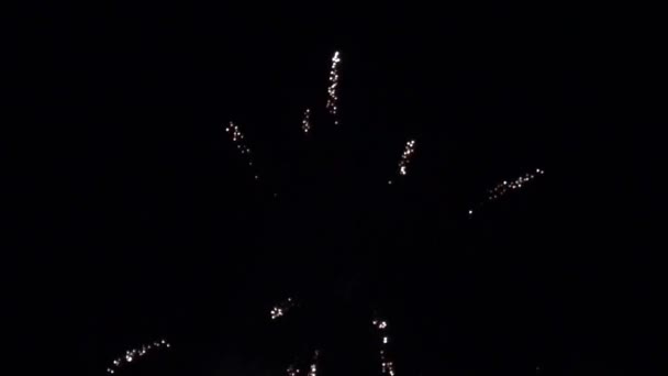 Fireworks explosiva pyrotekniska — Stockvideo