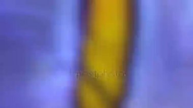 Zaman atlamalı iki Ocellaris clownfish