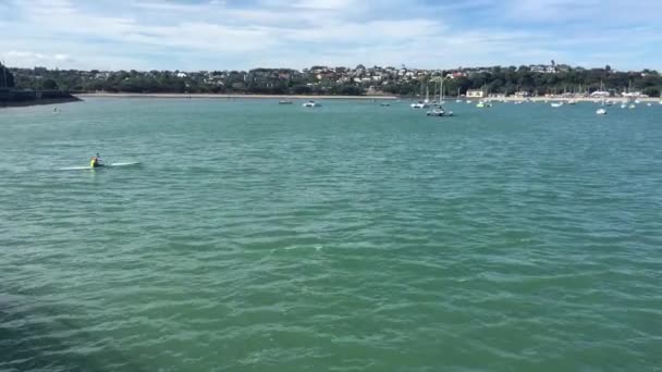 Person kajak i Okahu bay Auckland — Stockvideo