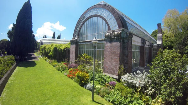 Auckland Domain Wintergardens — Stock fotografie