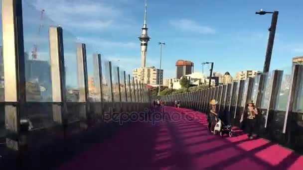 Auckland 2017 Traffic Des Aucklandu Růžové Lightpath Časová Prodleva Roce — Stock video