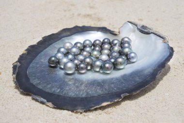 Excellent Round Tahitian Black Pearls clipart