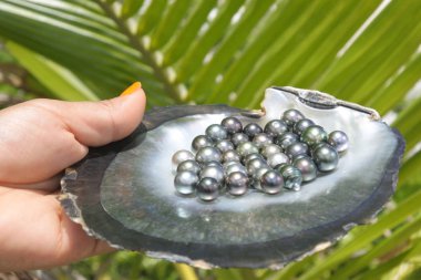 Pacific Islander woman holds Tahitian Black Pearls clipart