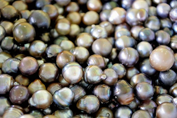 Tahitian Black Pearls background — Stock Photo, Image