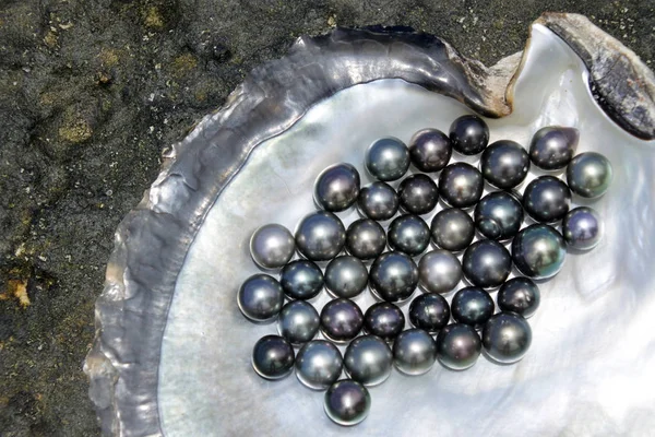 Tahitian Black Pearls — Stock Photo, Image