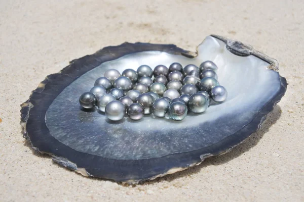 Excelentes perlas negras redondas de Tahití — Foto de Stock