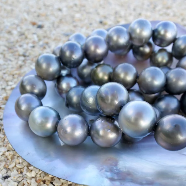 Runde tahitische schwarze Perlen — Stockfoto