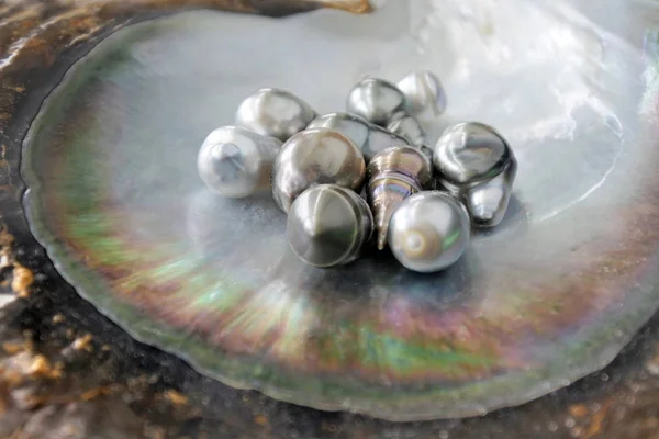 Keshi Tahitiano Black Pearls — Foto Stock