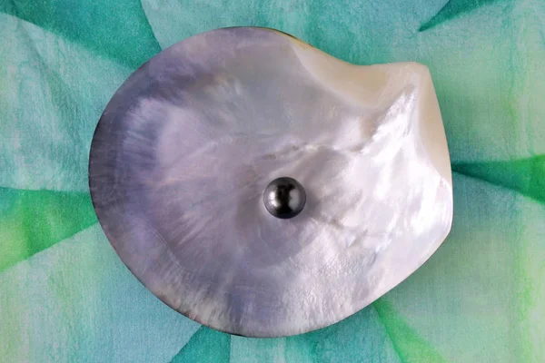 Eine runde tahitische schwarze Perle — Stockfoto