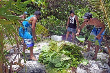 Cook Islanders men cooking food in earth oven in Rarotonga Cook  clipart