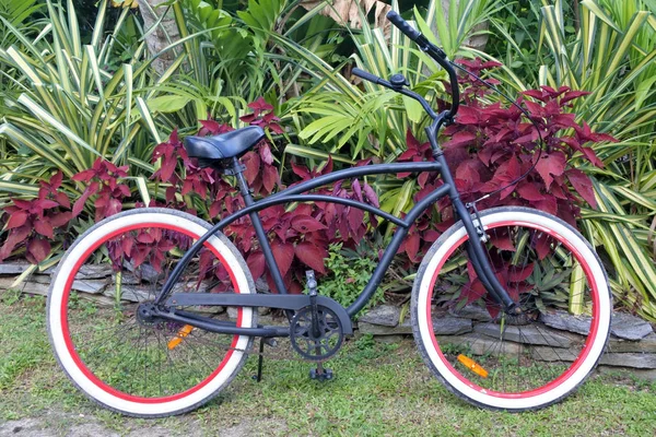 Black bicycle parking in a tropical garden — Stock Photo, Image