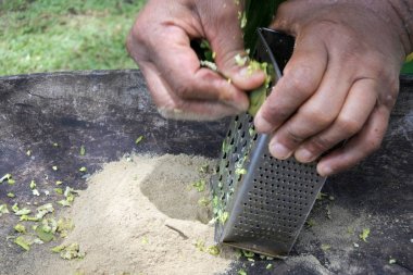 Yemek Adalı adam Rarotonga Cook Adası Kava içki hazırlar