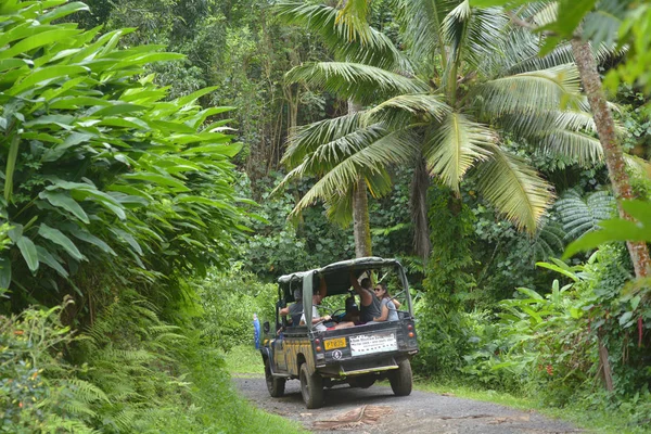 Safari tour in Rarotonga Island Highlands Cook Islands — стоковое фото