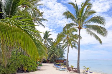Plaj ve lagün Rarotonga Cook Adaları